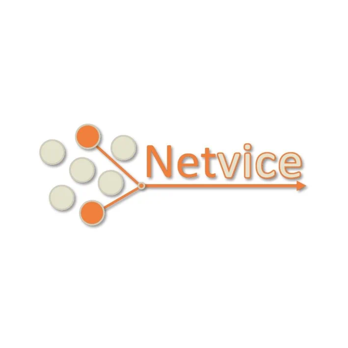 Netvice - Investment